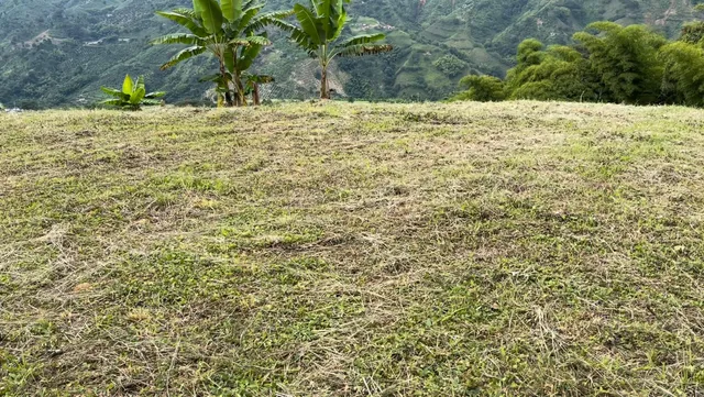 Se Vende Lote Manizales, el agrado - Foto 2