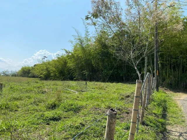 Se vende Lote, campestre, Pereira, Cerritos. - Foto 16