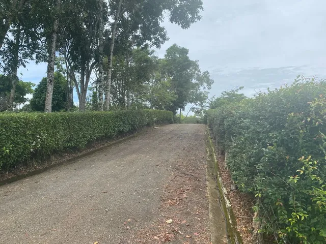 Se vende lote Viterbo Caldas - Foto 8