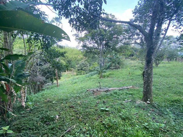 SE VENDE LOTE SUBURBANO PEREIRA, CERRITOS - Foto 8