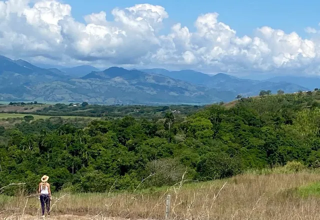 Se Venden Lote Campestre Cerritos, Pereira - Foto 9