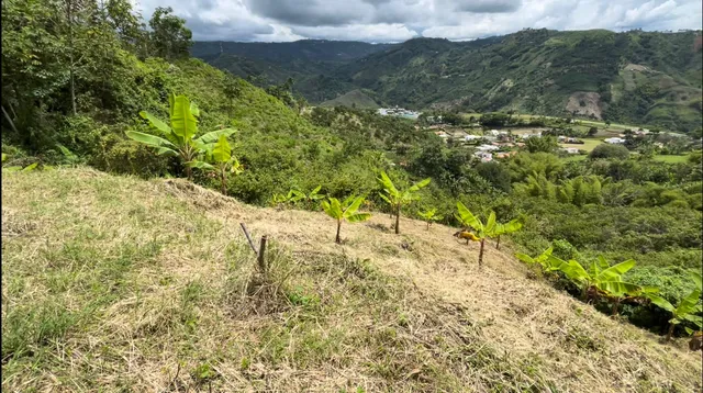 Se Vende Lote Manizales, el agrado - Foto 12