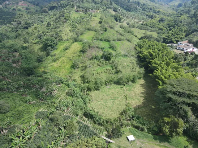 Se Vende Finca  La Cabaña, Manizales - Foto 5
