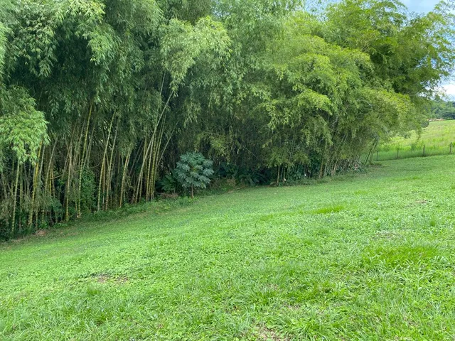 SE VENDE LOTE, PEREIRA, CERRITOS - Foto 4