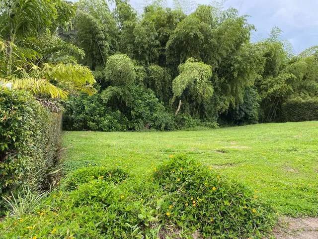 SE VENDE LOTE, PEREIRA , CERRITOS - Foto 6