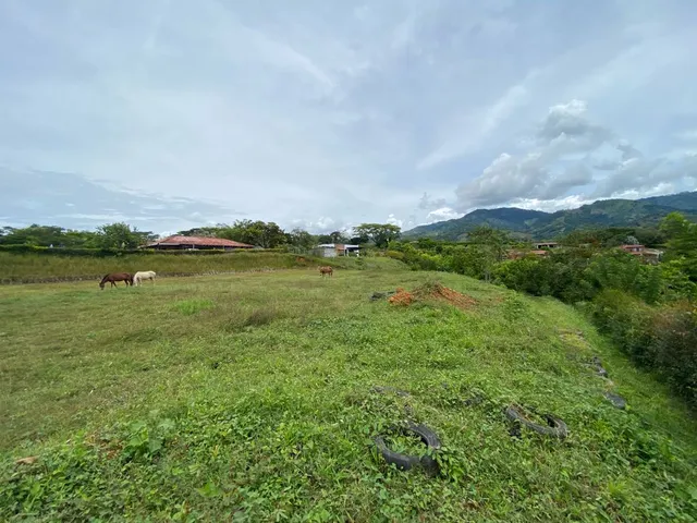 Se vende lote Viterbo Caldas - Foto 15