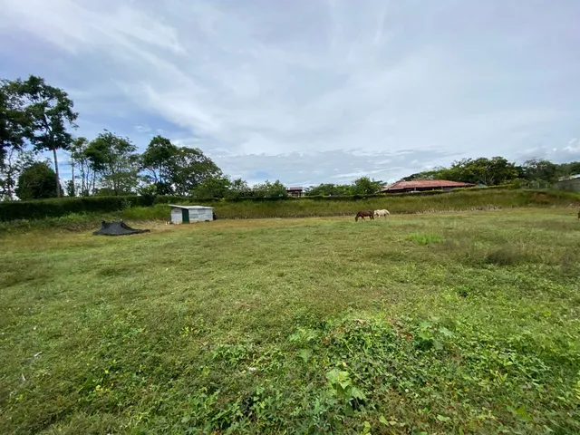 Se vende lote Viterbo Caldas - Foto 17