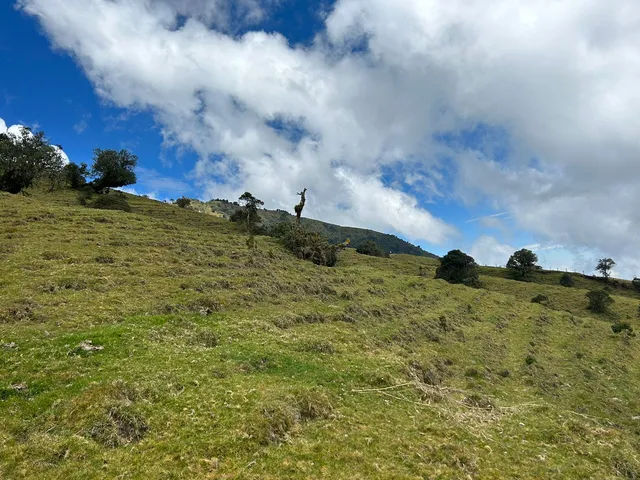 Se Vende Finca en Letras Caldas - Foto 13