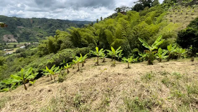 Se Vende Lote Manizales, el agrado - Foto 14