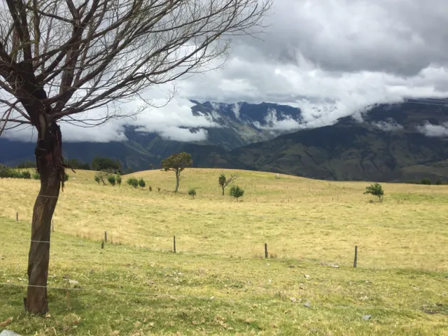 Se vende finca agrícola ganadera, Valle Del Cauca. Barragán - Foto 5