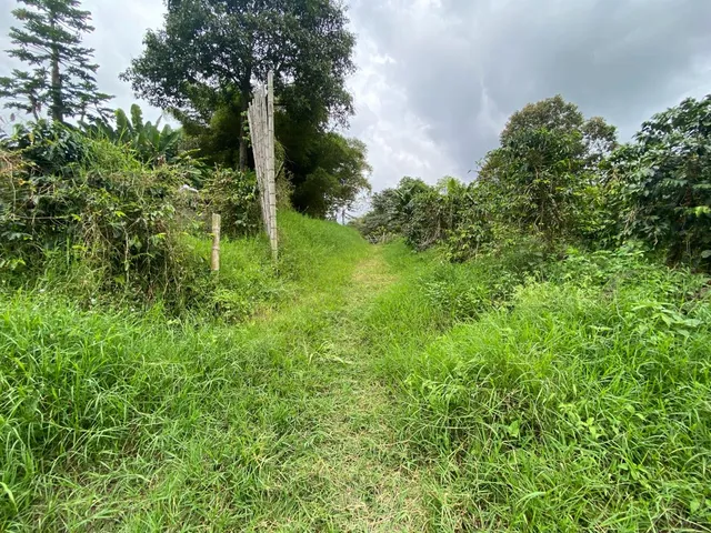 Se vende Lote Campestre, Pereira, Mundo Nuevo - Foto 17