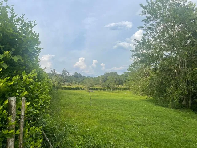 SE VENDE LOTE CAMPESTRE, VITERBO, CALDAS - Foto 8
