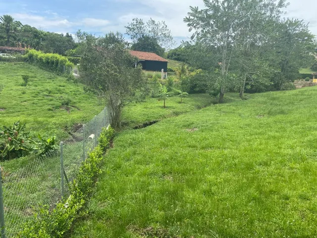 SE VENDE LOTE CAMPESTRE, VITERBO, CALDAS - Foto 4