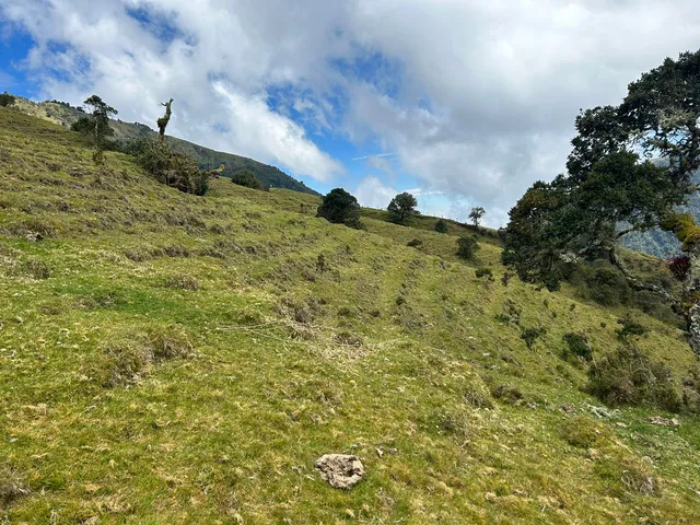 Se Vende Finca en Letras Caldas - Foto 14