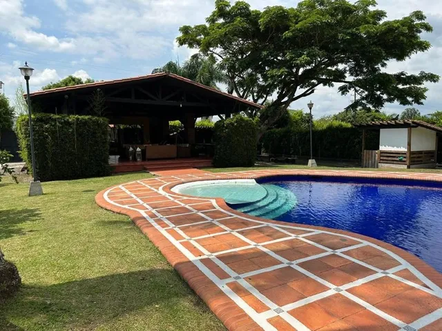 Se Vende Finca, Cerritos, Pereira - Foto 11