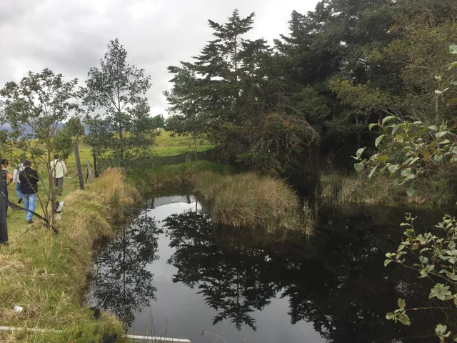 Se vende finca agrícola ganadera, Valle Del Cauca. Barragán - Foto 16