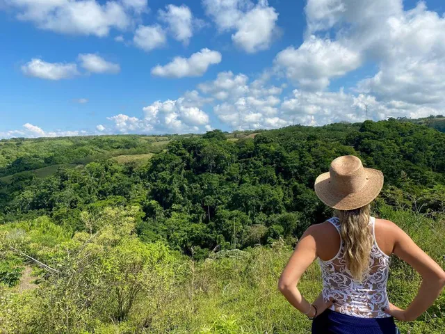 Se Venden Lote Campestre Cerritos, Pereira - Foto 4