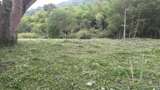 Se Vende Lote Vereda El Rio, Neira - Foto 4