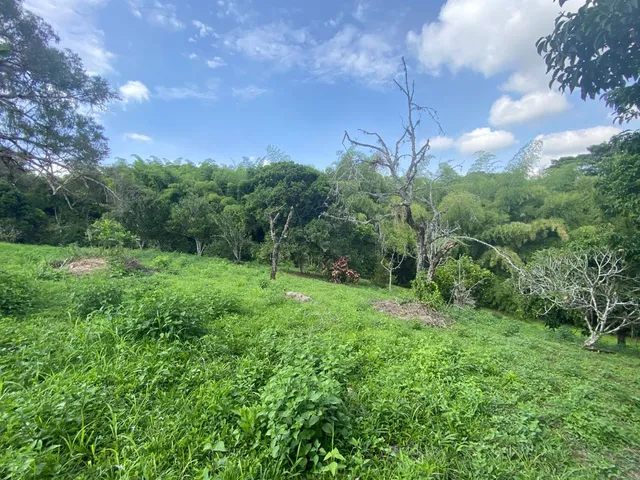 SE VENDE LOTE SUBURBANO PEREIRA, CERRITOS - Foto 2