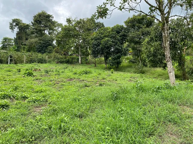 Se vende Lote Campestre, Pereira, Mundo Nuevo - Foto 11