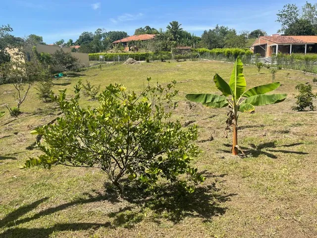 Se vende lote Viterbo Caldas - Foto 13