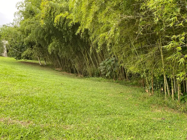 SE VENDE LOTE, PEREIRA, CERRITOS - Foto 9