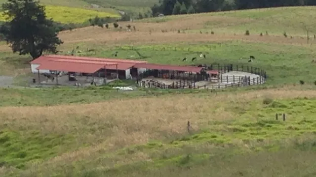 Se vende finca agrícola ganadera, Valle Del Cauca. Barragán - Foto 3