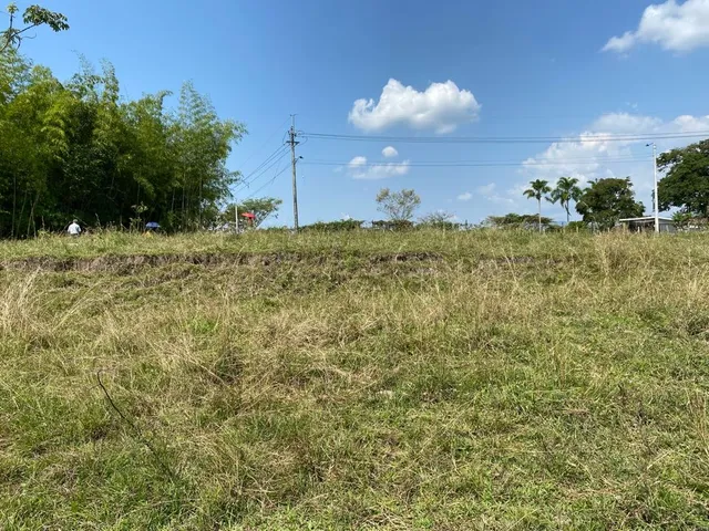 Se vende Lote, campestre, Pereira, Cerritos. - Foto 15