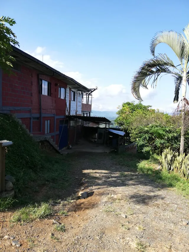 Se Vende Finca Vereda Alto Lisboa, Manizales - Foto 15