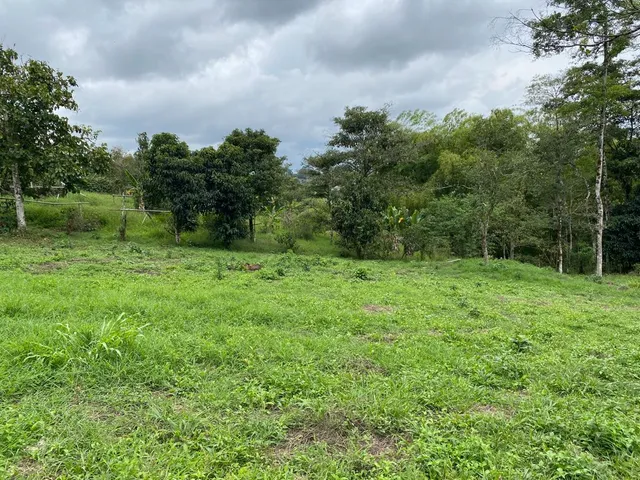 Se vende Lote Campestre, Pereira, Mundo Nuevo - Foto 14