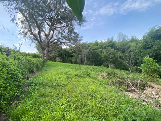 SE VENDE LOTE SUBURBANO PEREIRA, CERRITOS - Foto 6