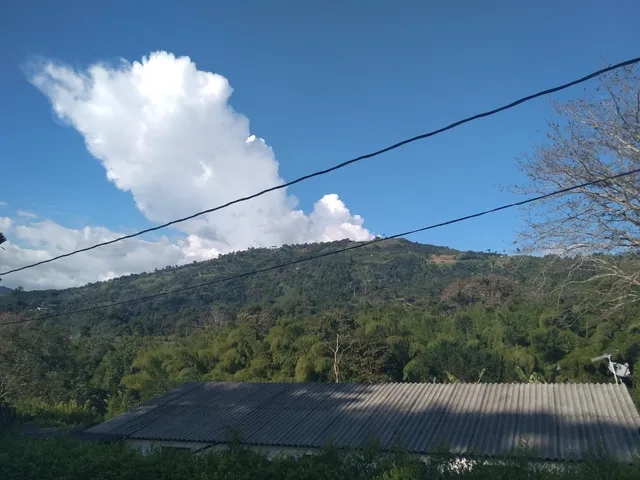 Se Vende Lote Vereda El Rio, Neira - Foto 14
