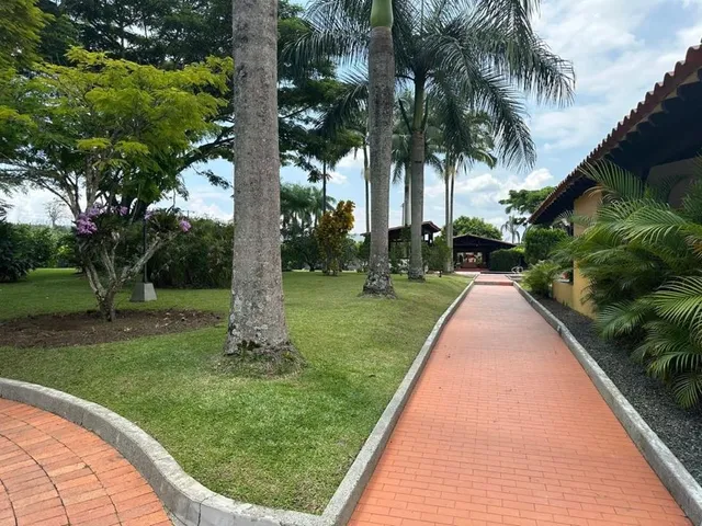Se Vende Finca, Cerritos, Pereira - Foto 3