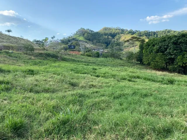 Se Vende Lote Campestre Pereira, Cerritos - Foto 7