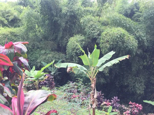 SE VENDE LOTE, PEREIRA, VIA CONDINA - Foto 18
