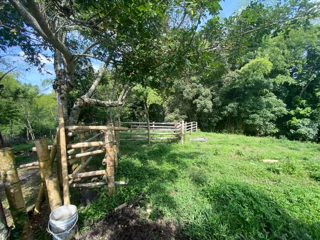 SE VENDE LOTE SUBURBANO PEREIRA, CERRITOS - Foto 19