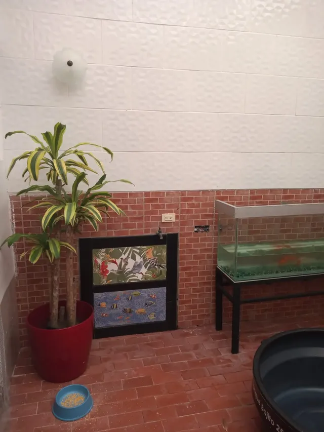 Se Vende Casa Chipre, Manizales - Foto 34