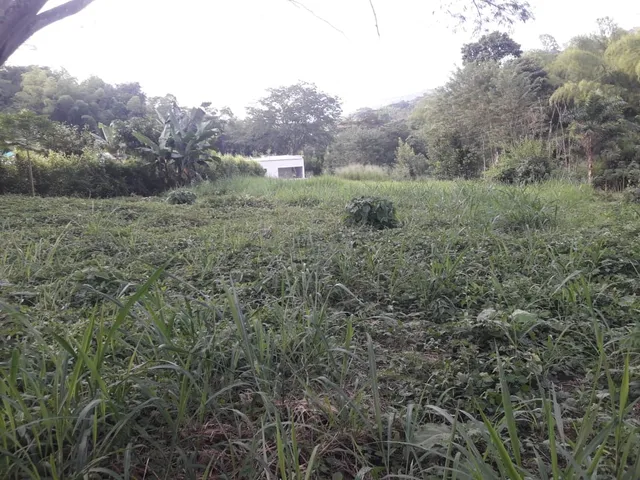 Se Vende Lote Vereda El Rio, Neira - Foto 11