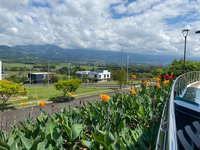 SE VENDE LOTE, VITERBO, CALDAS - Foto 19