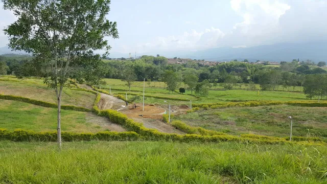 Se vende Lote en Viterbo, Caldas - Foto 12