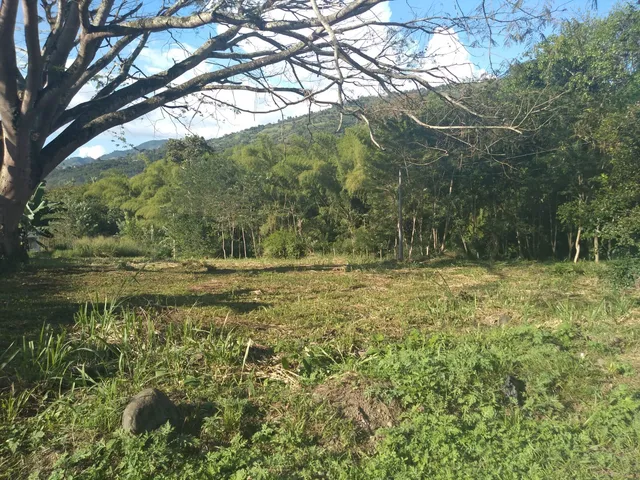 Se Vende Lote Vereda El Rio, Neira - Foto 10