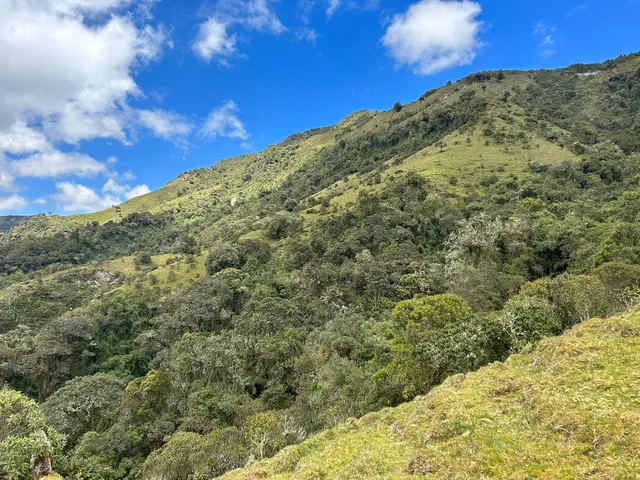 Se Vende Finca en Letras Caldas - Foto 6