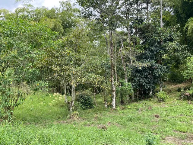 Se vende Lote Campestre, Pereira, Mundo Nuevo - Foto 8