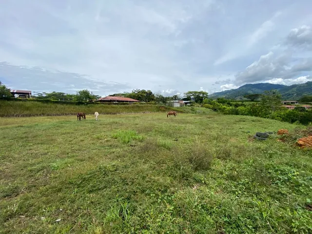 Se vende lote Viterbo Caldas - Foto 18