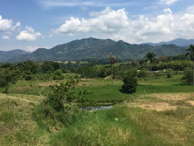 Se vende lote campestre, Pereira,Cerritos - Foto 11