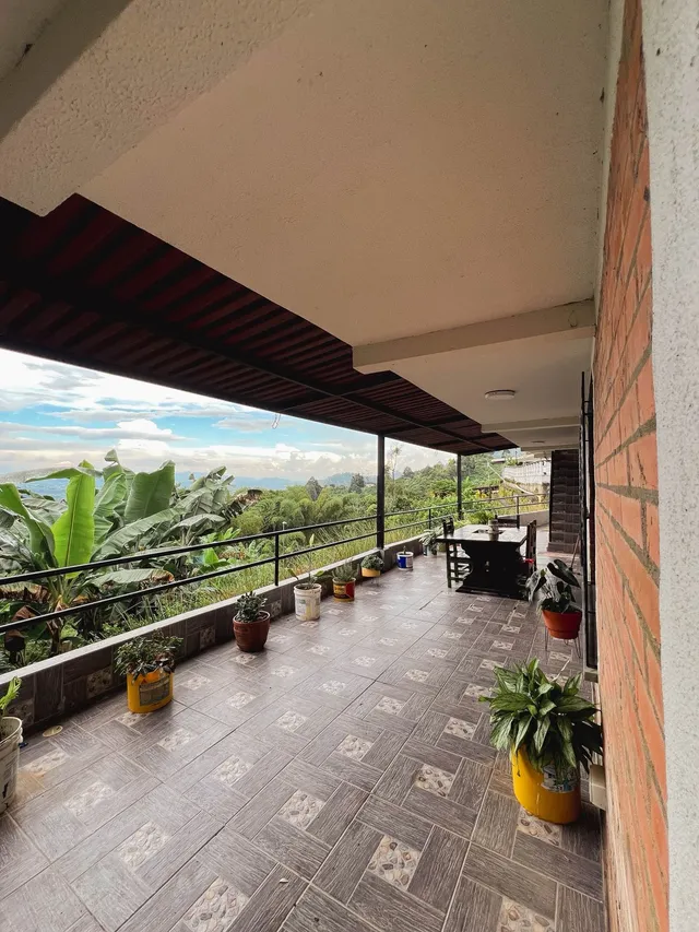 VENTA FINCA PEREIRA COMBIA - Foto 13