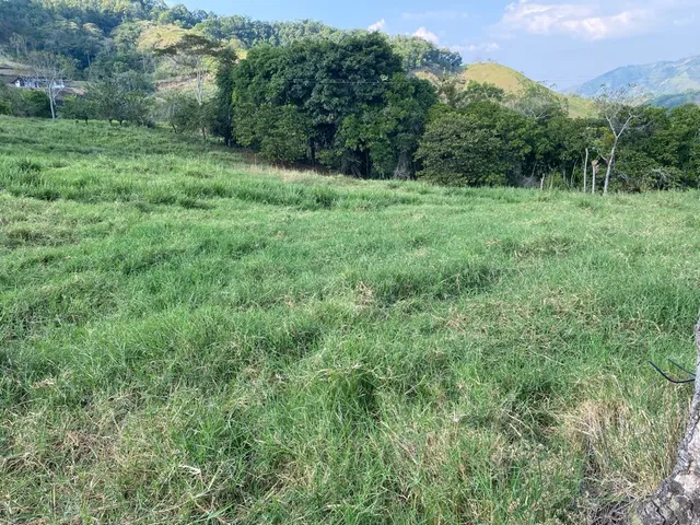 Se Vende Lote Campestre Pereira, Cerritos - Foto 9