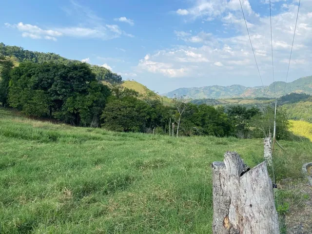 Se Vende Lote Campestre Pereira, Cerritos - Foto 8