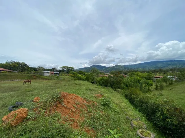 Se vende lote Viterbo Caldas - Foto 9