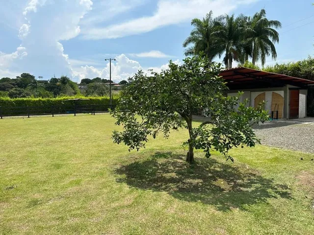 Se Vende Finca, Cerritos, Pereira - Foto 18
